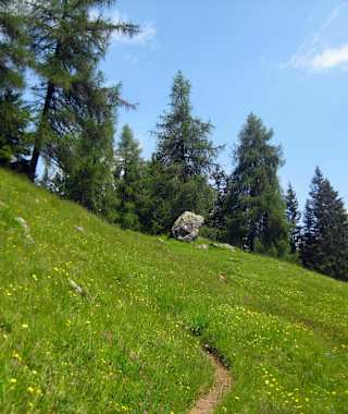 Die Schlotwiesen bei Platzers