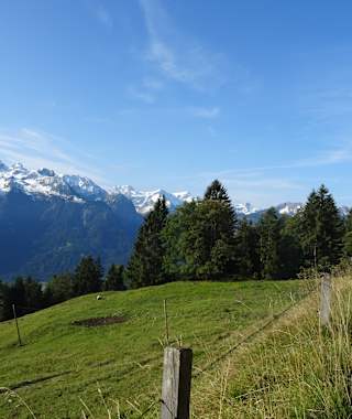 Auf dem Alpweg unterwegs Richtung Tiefenseesattel