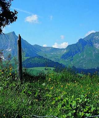 Blick zum Morgetepass, dem Übergang ins Simmental