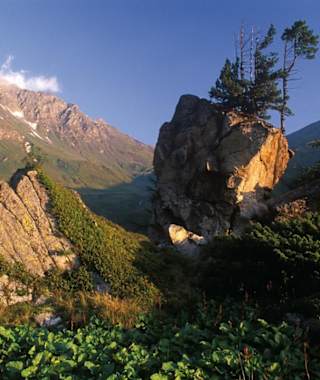 Geiselspitze von der Jamnigalm