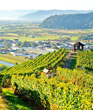 Gengenbach - Blick auf die Gegeben und den Pavillon