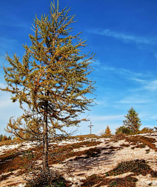 Matschacher Gupf im Herbst