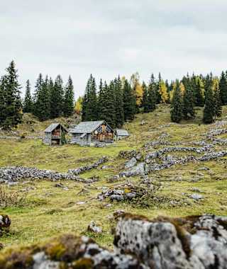 Die Schartenalm am Weg zur Goiserer Hütte