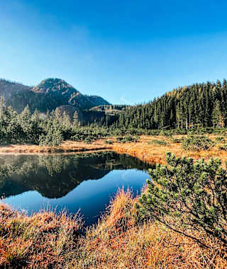 Hochmoor zwischen Hochkar und Göstling