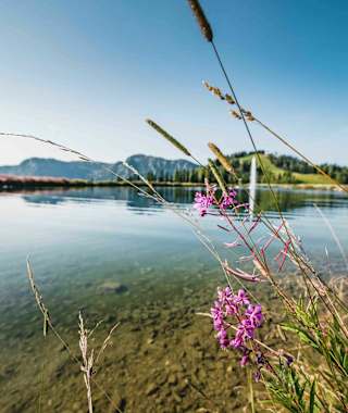 Speicherteich am Grafenberg
