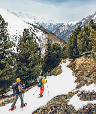 Abstieg durch den Zirbenwald