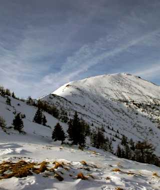 Das Ziel, den Griesmoarkogel, bereits im Blickfeld.
