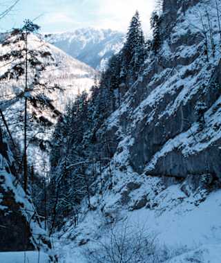 Schneebergblick im Großen Kesselgraben