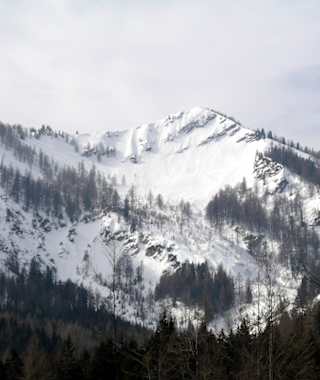 Blick aus dem Hutgraben zum Großen Zeller Hut, in der Bildmitte die Baumgruppe, wo die Querung nach rechts zum Grenzrücken verläuft