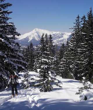Aufstieg Zellerhut mit Blick zum Dürrenstein