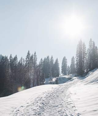 Auf dem Weg zur Grubenberghütte