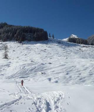 Bei genug Schnee ist dies ein super Abfahrtsgelände.