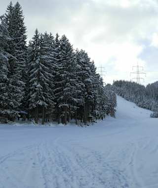 Blick vom Ausgangspunkt