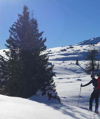 Unterwegs zur Grünsteinscharte