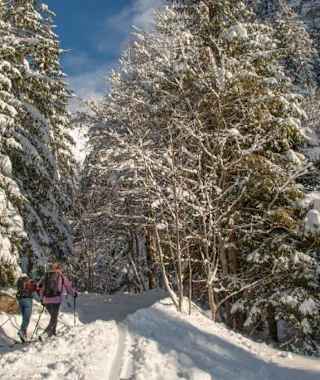Anstieg Gsuchmauer - kurz vor der Ebnerklamm