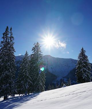 Das Gebiet rund um die Gufferthütte