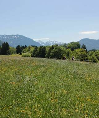 Sommerlandschaft in Siegsdorf