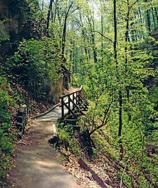 Über Holzstege und -brücken durch die romantische Hagenbachklamm.