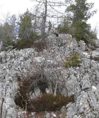 Interessante Gesteinsformen