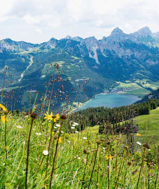 Blick auf den Haldensee