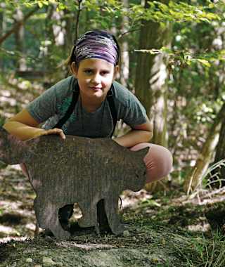 Elf dieser gut versteckten Wildkatzensilhouetten gilt es zu finden.