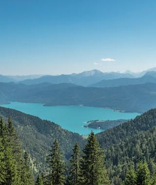 Im unteren Teil des Anstieges zum Heimgarten genießen wir schöne Tiefblicke auf den Walchensee