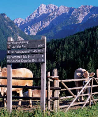Rundwanderweg „Auf der Alm“