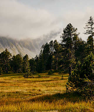 Moor-Rundweg in Sörenberg