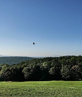 Die Wanderung zum Hermannskogel wird mit einer schönen Aussicht auf Wien belohnt.