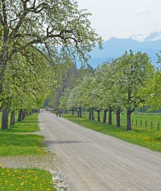 Wandern in Bayern - Chiemgau, Chiemsee