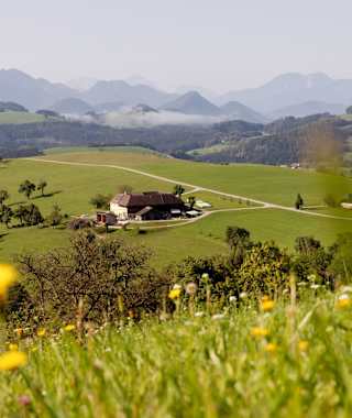 Herz des Mostviertel