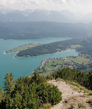 Tolle Aussicht vom Herzogstand auf den Walchensee