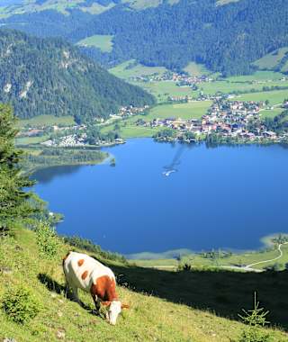 Vom Heuberg Blick auf den Walchsee