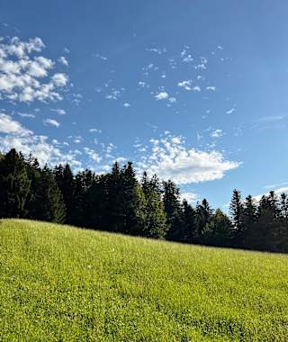 Auf dem Weg zu den Hittisbergalpen