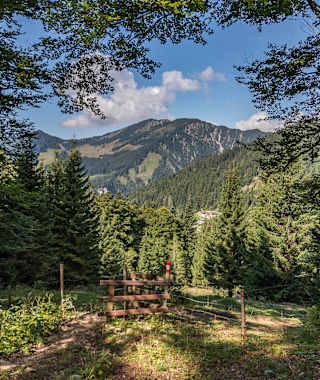 Abstieg von der Hochalm nach Unken