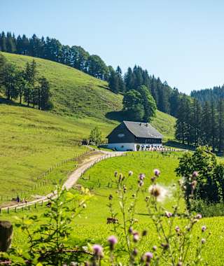 Auf dem Weg zur wunderschön gelegenen Hocherbalm