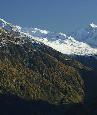 Hochfirst Landschaft
