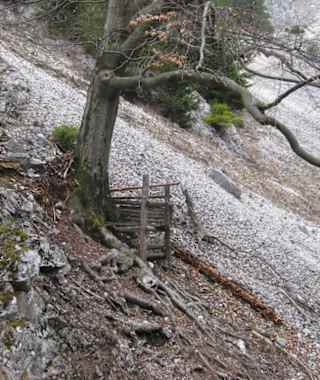 Jägerstand am Zustieg
