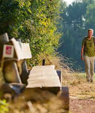 Auf dem Hochwald-Pfad