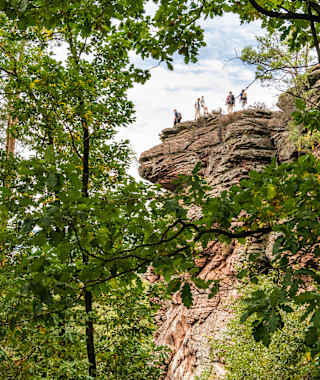 Auf dem Rimbachsteig