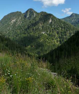 Auf dem Höhenweg Wildalpen – Hinterwildalpen