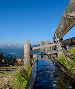 Hörneggele und Almweg 2000