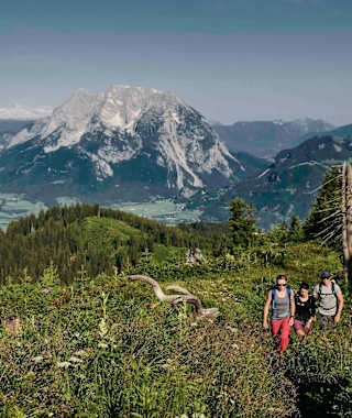 Von der Hohen Trett genießt man einen besonders guten Blick auf den Grimming.
