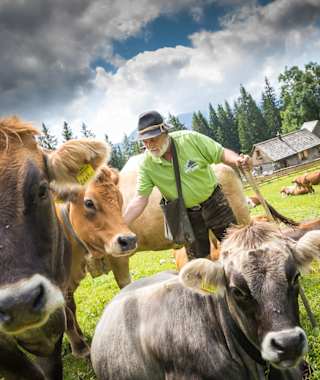 Auf der Hollensteinalm
