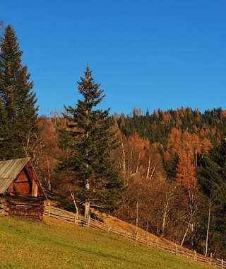 Herbststimmung am Hollerbergweg