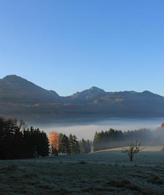 Morgenstimmung Holzhausen Richtung bergen