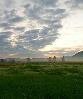 Blick ins Bergener Moos