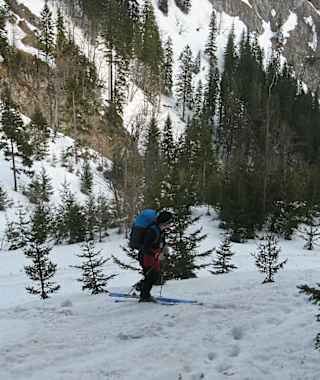 Abzweigung vom Forstweg in den Hoyosgraben