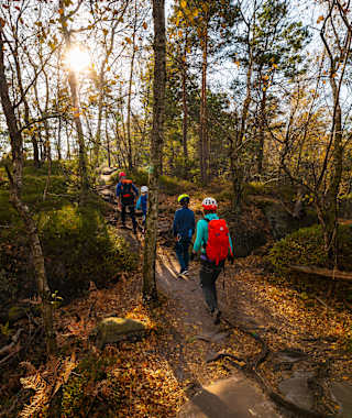 Auf dem Weg zwischen Ausstieg des Häntzschelstiege-Klettersteig und Langes Horn
