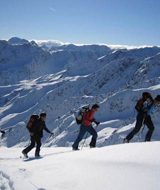 Unterwegs auf den Gipfel (2.650 m)